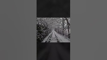 إن الذين قالوا ربنا الله ثم استقاموا | القارئ عمر بن ضياء الدين