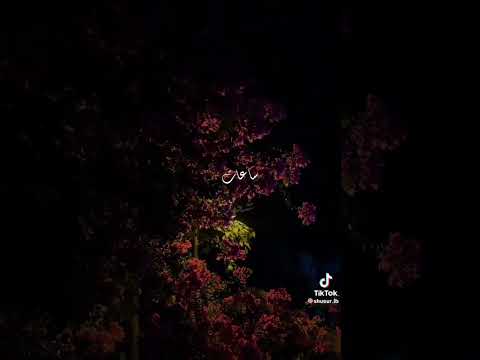 شيرين معاك بضحك و بفرح