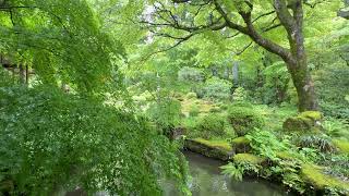 The Space Between | Contemplative Piano for Meditation, Relaxation & Inner Peace • 60 Minutes