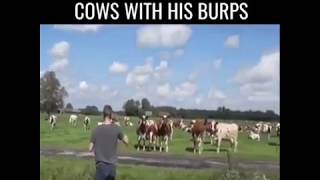 This man can call cows with his burps by Amazing Videos 926 views 6 years ago 1 minute, 1 second