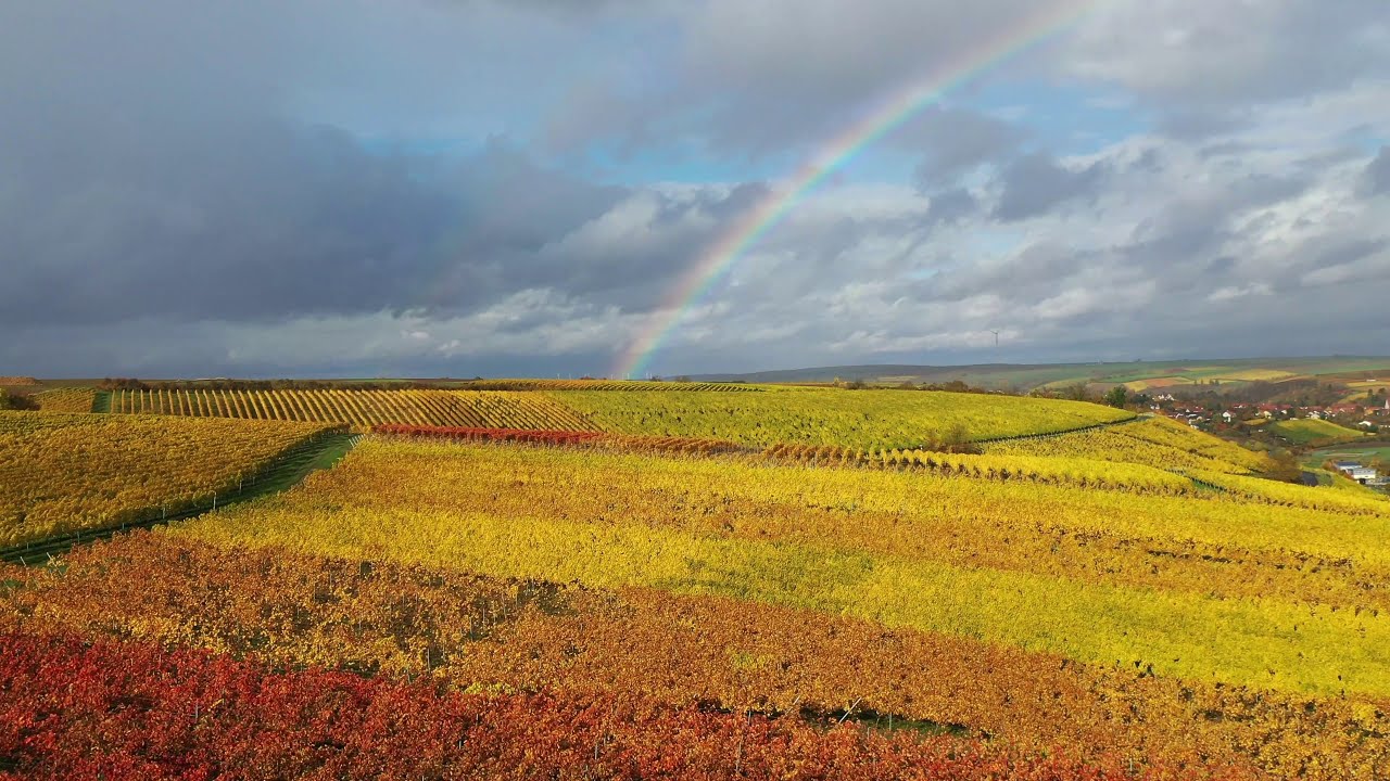 Weingut Roman Sauer in Nordheim
