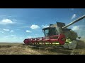 CLAAS TUCANO 580 Уборка пшеницы в Брянской области 2020