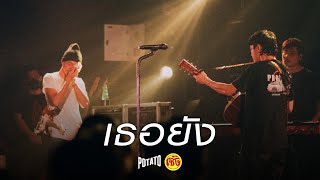 เธอยัง - POTATO [Live in เซิ้ง คาเฟ่]