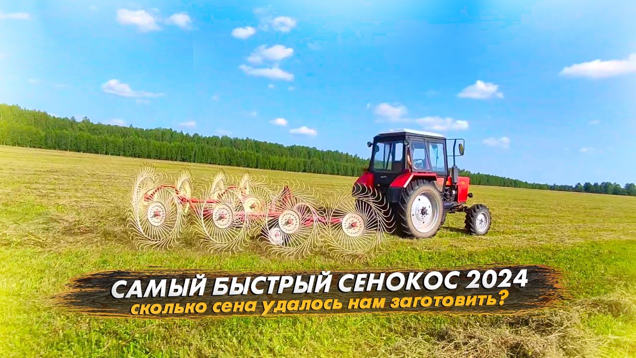 Сенокос 2024 завершен! Сколько сена заготовили, хватит ли нам сена на ...
