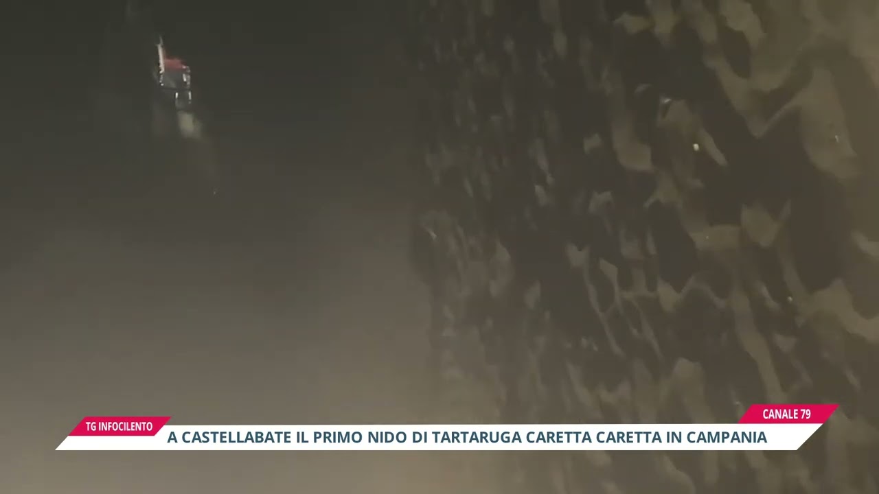 Primo nido di Caretta caretta in Campania: la magia si rinnova a Castellabate