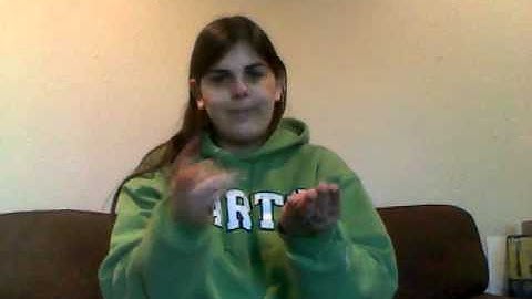 Assignment #2 CLASSIFIERS