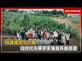 培育綠色生力軍 日月光永續探索營首移師高雄