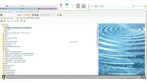 GCSS-ARMY HACKS (How to print out Shortage Annex)