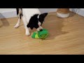 Green Snake stress release toy