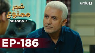 Shajar-e-Mamnu | Episode 186 | Turkish Drama  | Forbidden Fruit | Urdu Dubbing | 26 August 2021