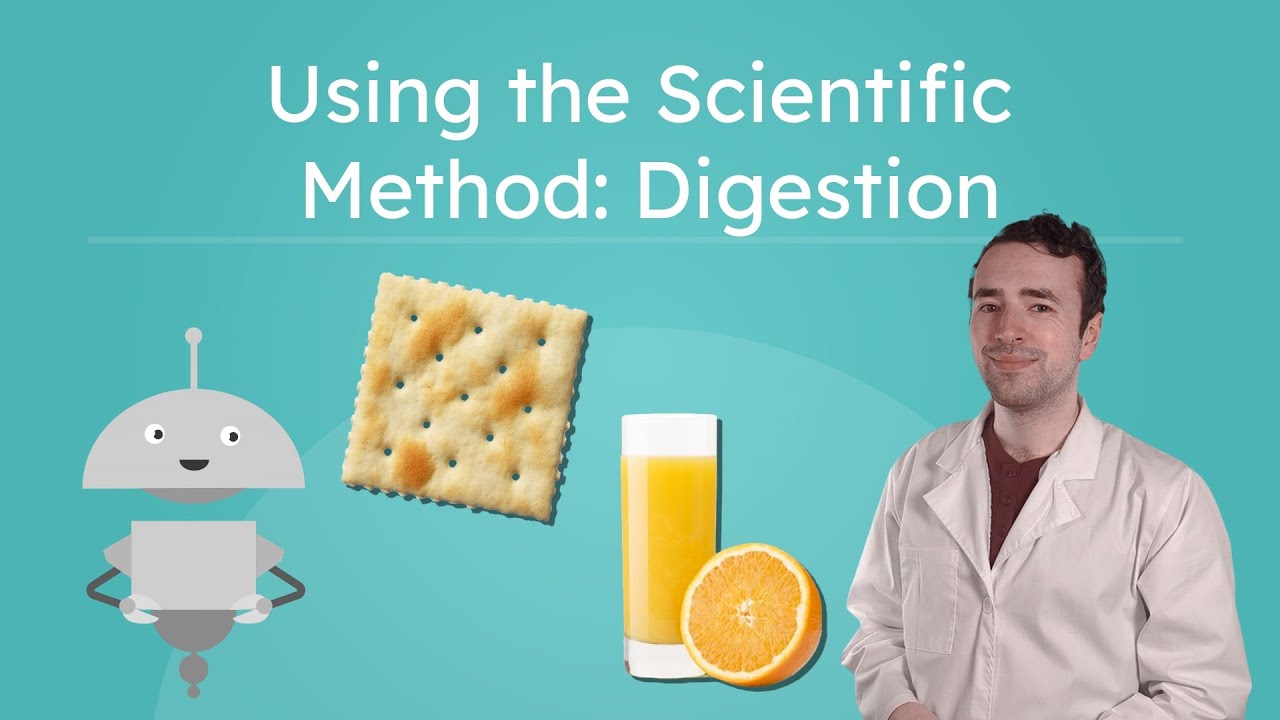 Digestion - Investigating the Digestive System Using the Scientific ...