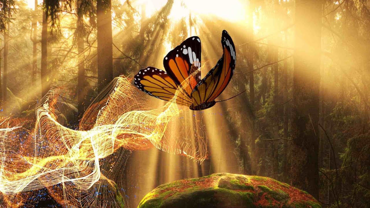 Peaceful Music, Relaxing Music, Instrumental Music "Into the Ancient Woods" by Tim Janis Peaceful Music, Relaxing Music, Instrumental Music "Into the Ancient Woods" by Tim Janis