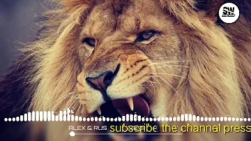 ALEX & RUS song full base | tiktok famous song 2020 | arabic song | song world