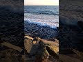 Redian sea