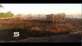 Krgv Channel 5 News Update - August 25