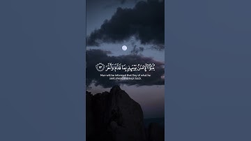 تلاوة مؤثرة للقارئ محمد المحيسني | يقول الانسان يومئذ أين المفر | #تلاوات