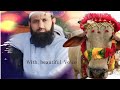 تلہ گنگ منڈی مویشی کا وزٹ کریں Visit Telagang Cattle Market تلہ گنگ منڈی مویشی کا وزٹ کریں Visit Telagang Cattle Market