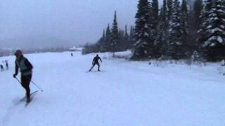 cross country skiing F segment