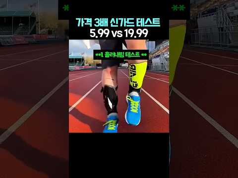 가격 3배 신가드 테스트의 놀라운 결과 thumbnail