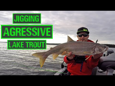 How To Trigger MORE Bites Jigging For Lake Trout!! 