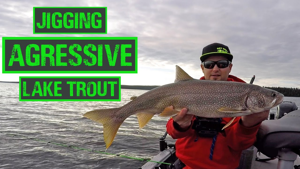How To Trigger MORE Bites Jigging For Lake Trout!! YouTube