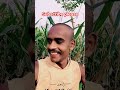 # set video# a comedy video# takla video# the video. Viral video#funny #comedy #bhojpuri