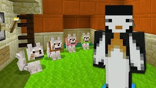 Minecraft Xbox | DESERT DOG HOUSE [419]