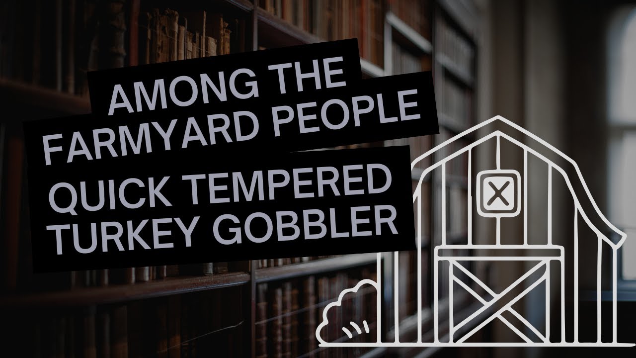 Among the Farmyard People - part 15: Quick Tempered Turkey Gobbler | The Enchanted Library