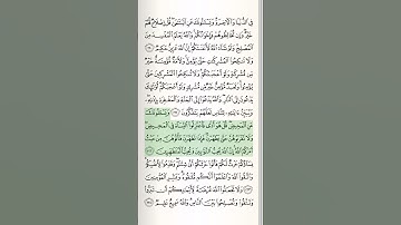 مجید قرآن سوره بقره | آیات 222-223 | #قرآن | #بقره | #شلوارک | #اسلام