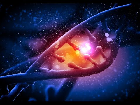 Video: Hvilke byggesten danner en DNA-molekylequizlet?