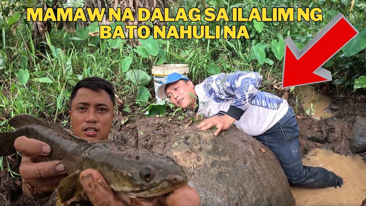 NAHULI NA NI UTOL ANG MAMAW NA DALAG SA ILALIM NG BATO @anthonyjaballa5323