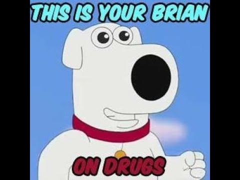 Brian on Mushrooms LSD Mix