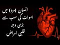 The leading death cause of human ( MEN) and how can we avoid this and live long, Healthy life. 