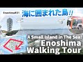 【Japan Travel Video】A Walk on Kamakura's Streets #03 "Enoshima" [JP Narrations + Eng Subs]