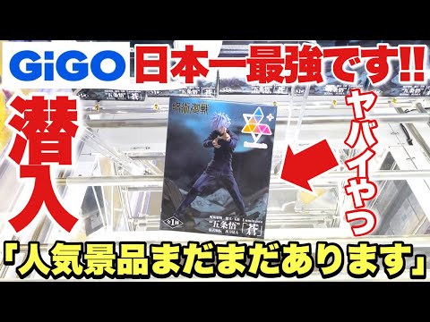 【クレーンゲーム】日本一最強！？のGIGOに潜入！人気プライズフィギュアがまだまだ残ってる！これは絶対ヤバイやつ！？呪術廻戦 五条悟 メイドインアビス ナナチ 超絶最かわてんしちゃん