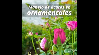 Recomendaciones UPL | Manejo de Ácaros en Ornamentales.