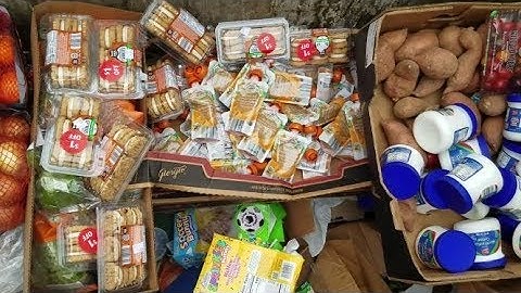 DUMPSTER DIVING ALDI DAILY VIDEO #66