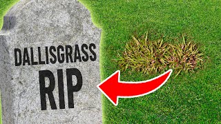 5 Weed Control Strategies for Killing Dallisgrass