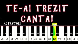 Te-ai trezit CANTA! Spala-te si CANTA! PIAN INCEPATORI