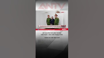 Bắt nguyên Phó Viện trưởng Viện Pháp y tâm thần Trung ương #antv #shorts #thoisu #hoilo