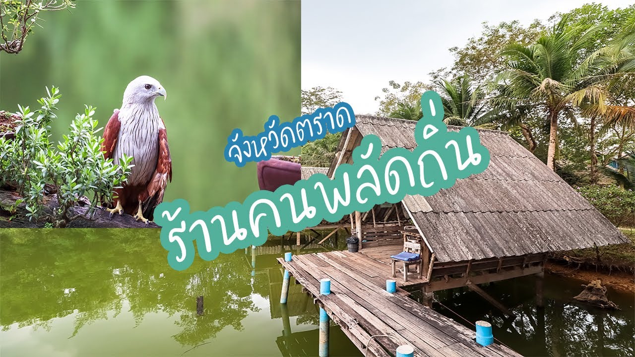 ทานอาหาร ชมเหยี่ยว ร้านคนพลัดถิ่น ตราด ในบรรยากาศริมสระ | ข้อมูลที่อัปเดตใหม่ที่เกี่ยวข้องกับร้าน อาหาร คน พลัดถิ่น