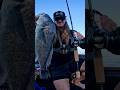 BIG Fish on BFS Glidebait!