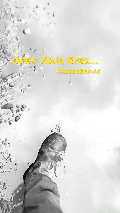 Open Your Eyes ~ Alter Bridge #remix #rocklegends #evergreenlovesong