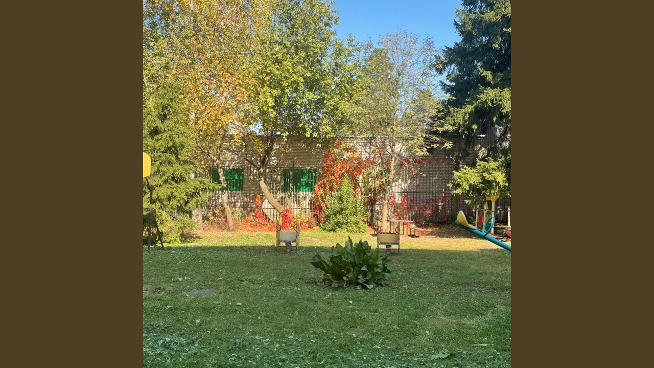 excitement and scene