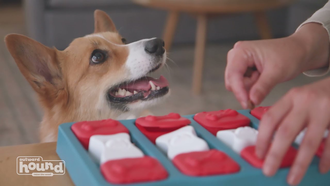 5 Unique Mental Stimulation Toys For Dogs – Furtropolis