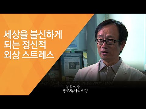 세상을 불신하게 되는 정신적 외상 스트레스 - (20150807_광복 70년 특집 - 4회 방송)_광복 70년 특집 한국인의 건강은 어떻게 변해 왔나 4편 정신건강