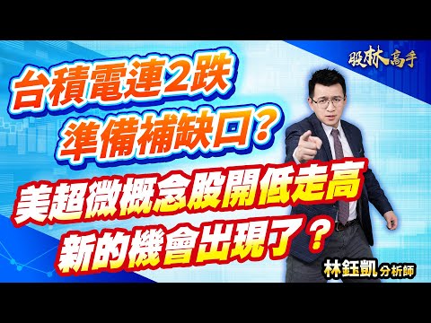 中視【股林高手】20240219 #林鈺凱：台積電連２跌 準備補缺口？ 美超微概念股開低走高 新的機會出現了？ #中視新聞 #股林高手