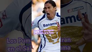 Pumas En El Salón De La Fama Del Fútbol