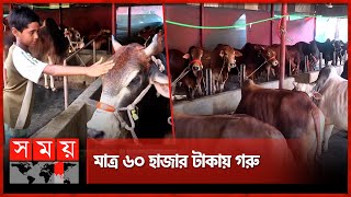 মধ্যবিত্তের কোরবানির পশু মিলবে যে খামারে | Narayanganj | Cow Farming | Eid Ul Adha | Somoy TV