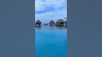 Thumbnail of Let’s go to the pool !!!!! I am at the Manava Beach Resort & SPA hotel of #Moorea #vlog #shorts